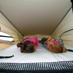 fourgon aménagé mercedes marco polo 4matic