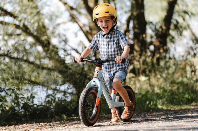 Draisienne Origine_01